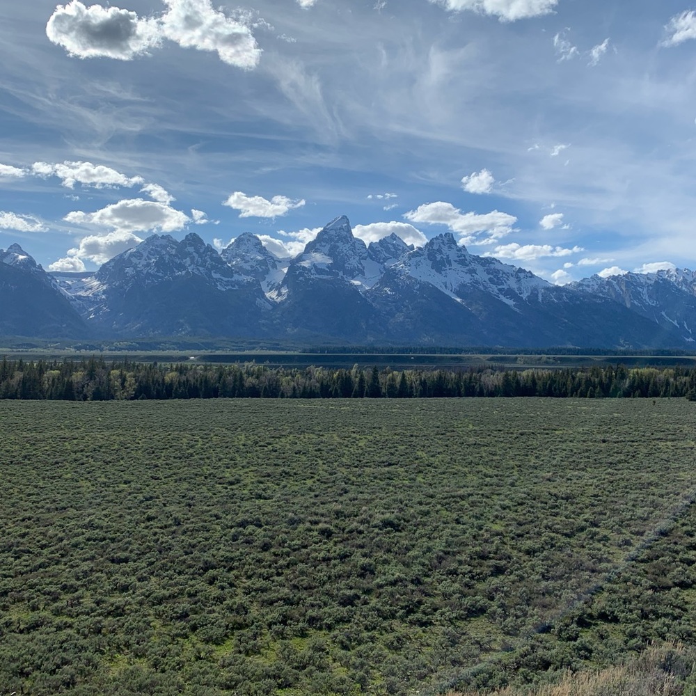 Meet your Posher, Brayden